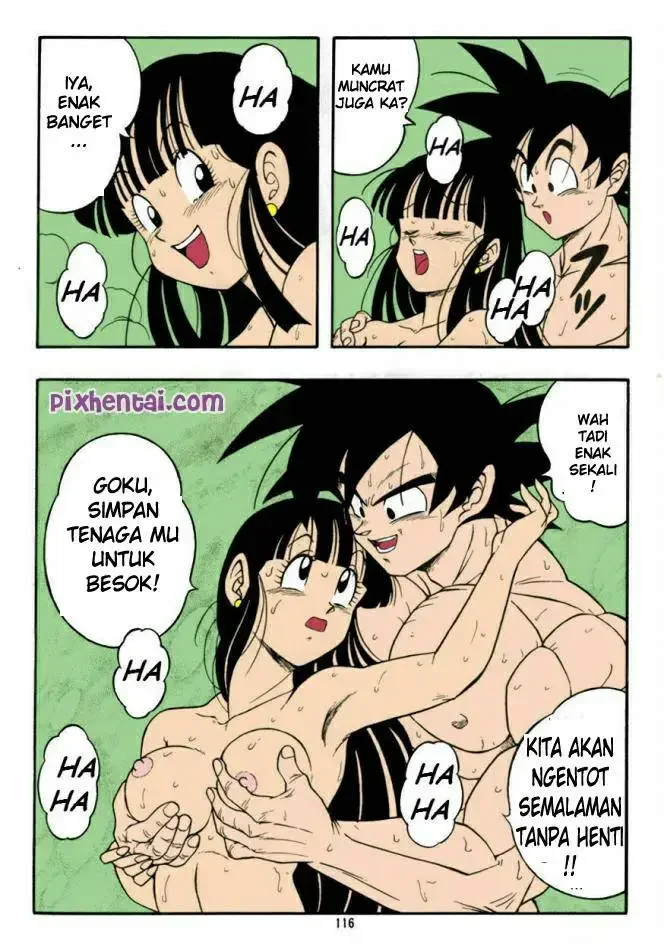 Halaman 17