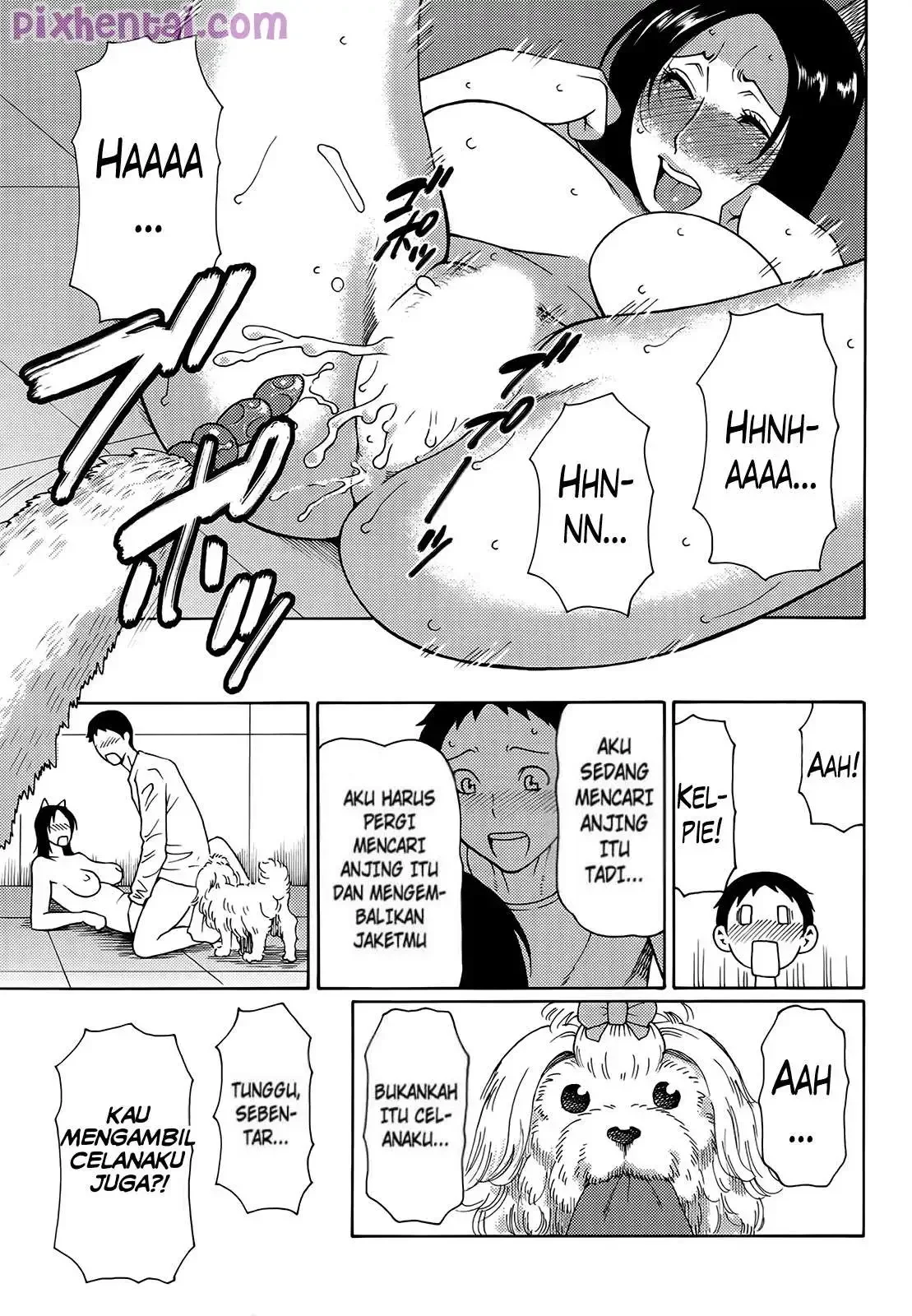 Halaman 17