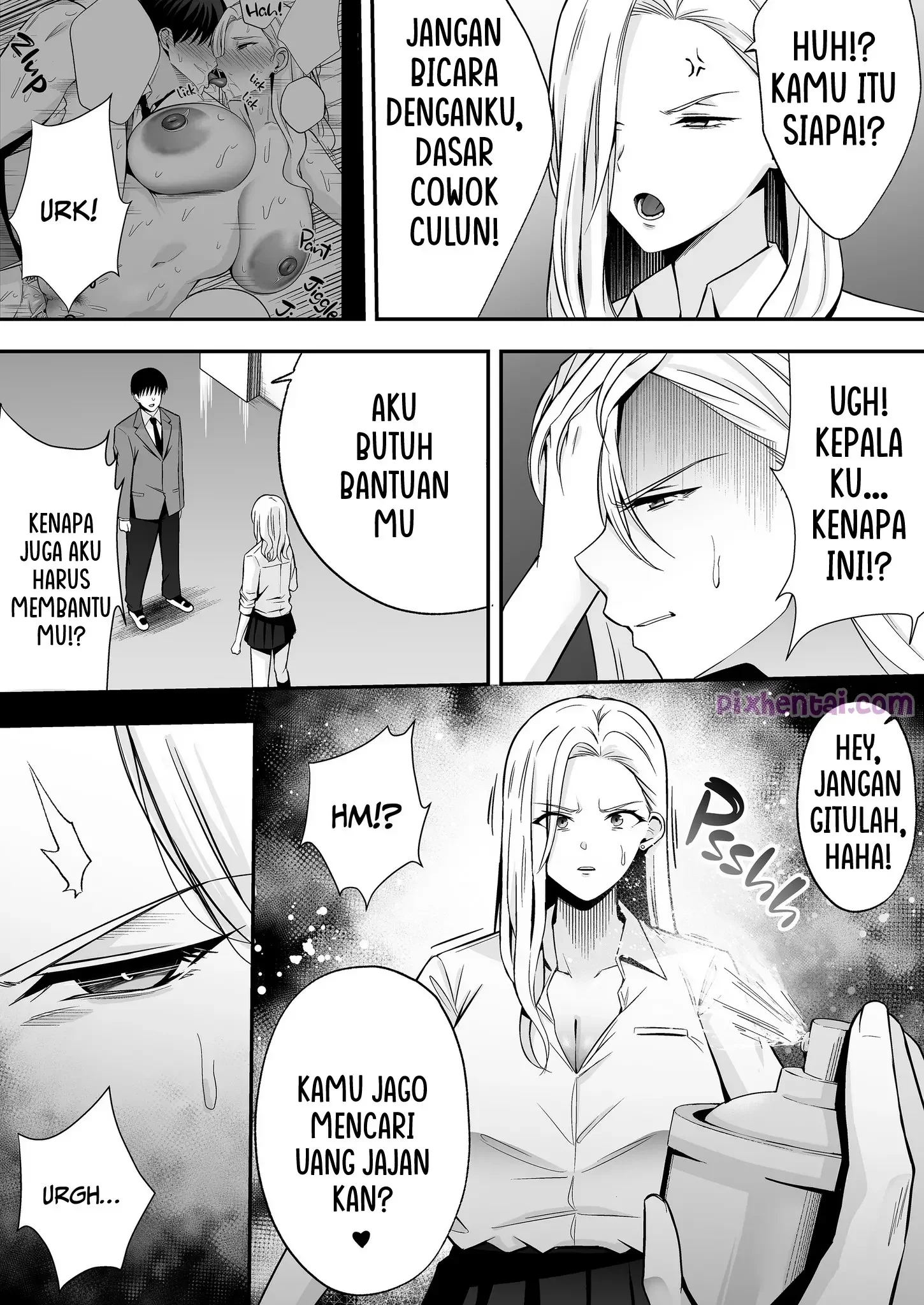 Halaman 17