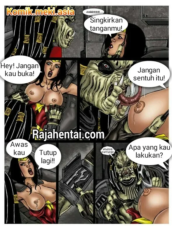 Halaman 17